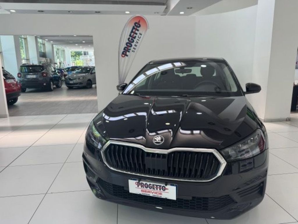 SKODA FABIA EVO STYLE in vendita a Torino