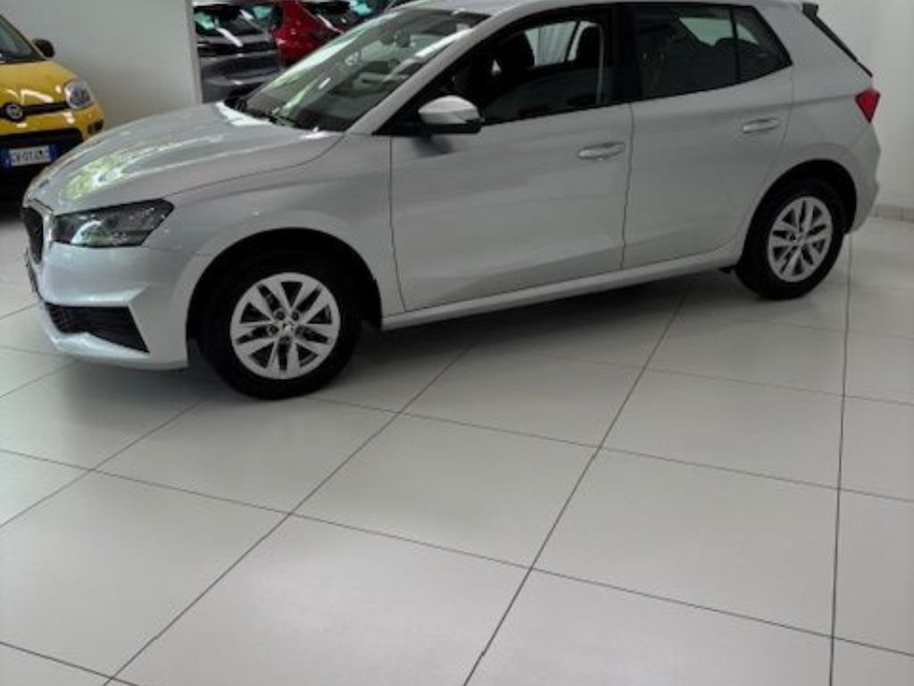 SKODA FABIA EVO STYLE in vendita a Torino