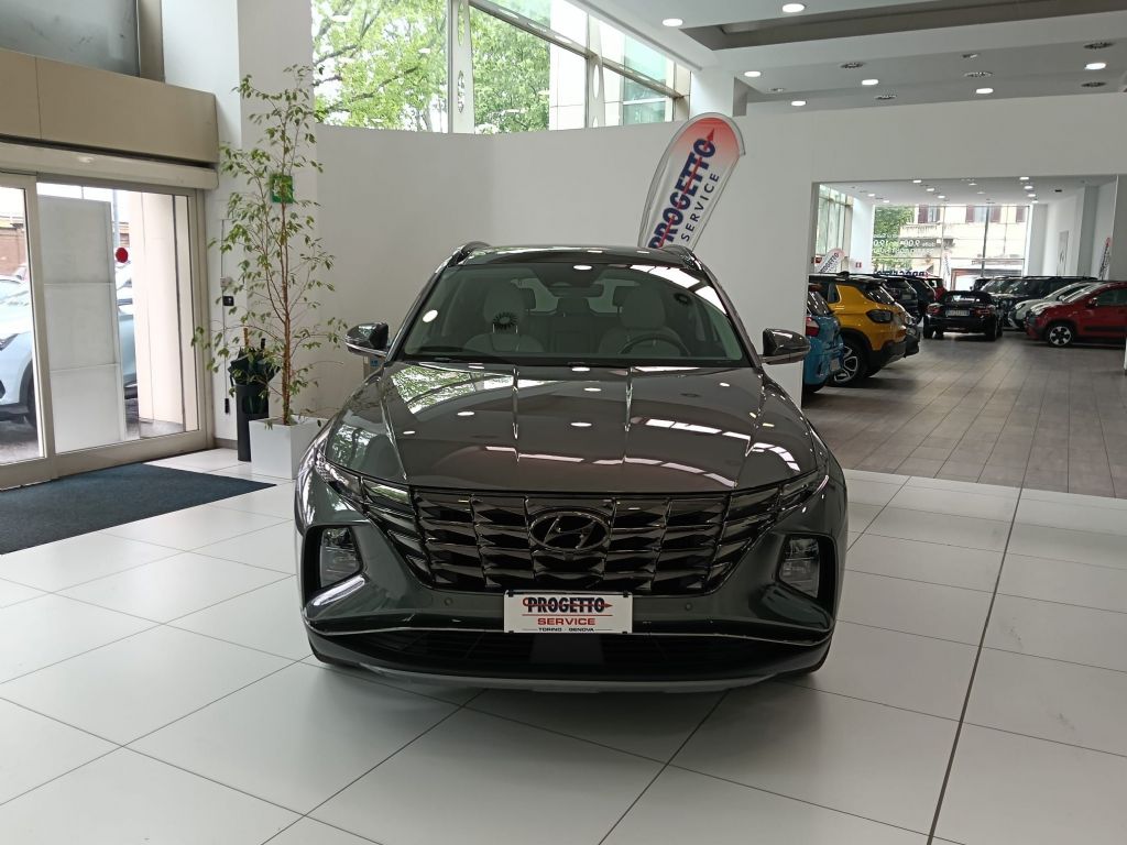HYUNDAI EXELLENCE LOUNGE PACK in vendita a Torino