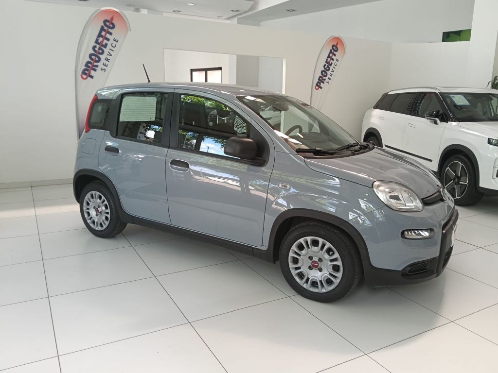 FIATPANDA FIREFLY in vendita a Torino