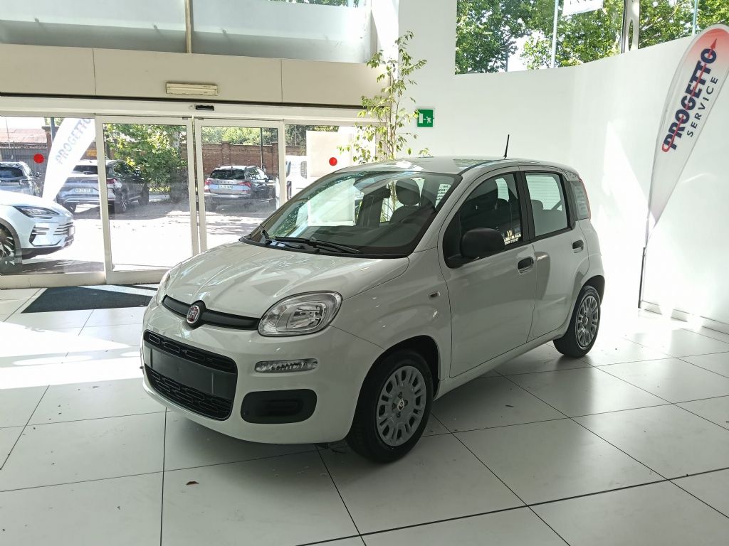 FIATPANDA ICON in vendita a Torino