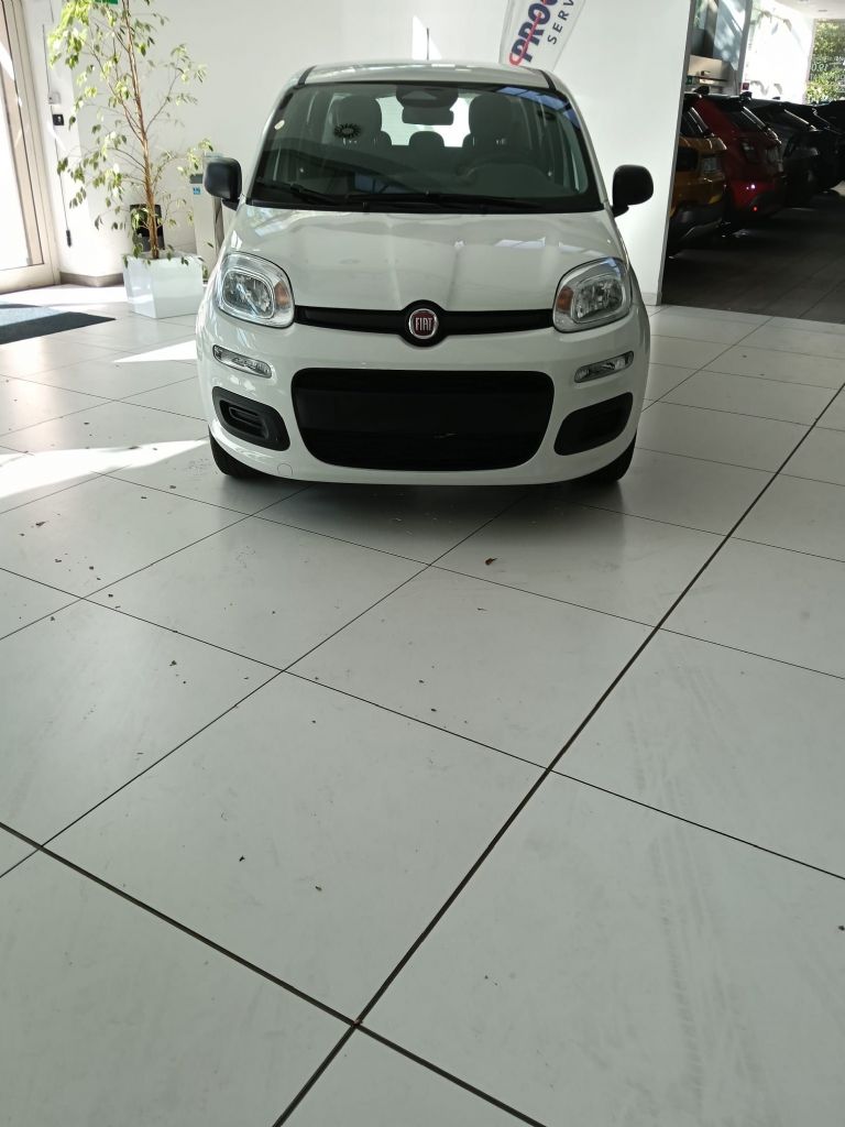 FIATPANDA ICON