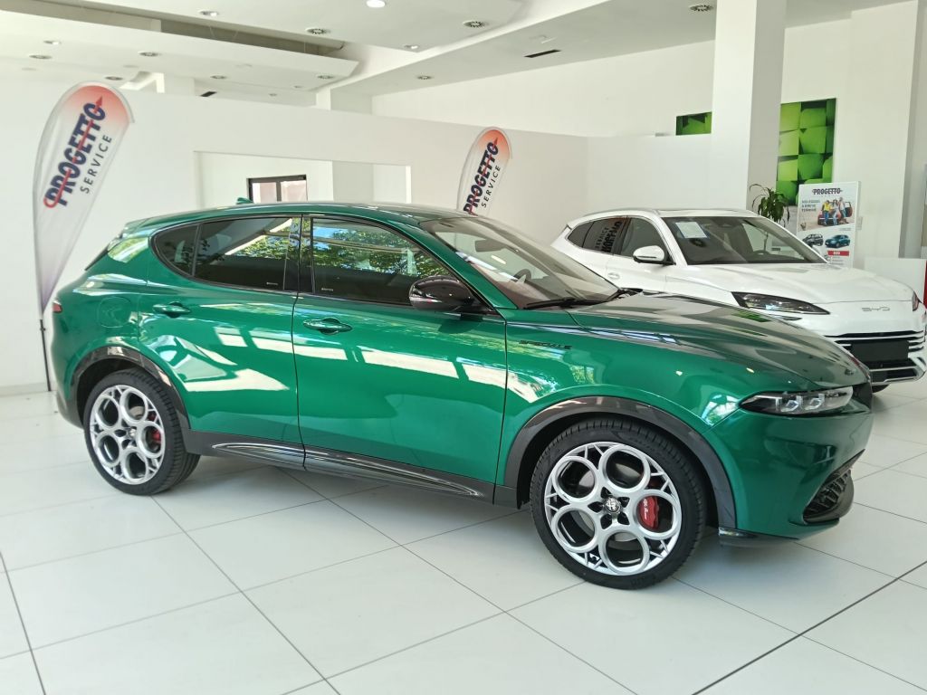 ALFA ROMEOTONALE SPECIALE in vendita a Torino