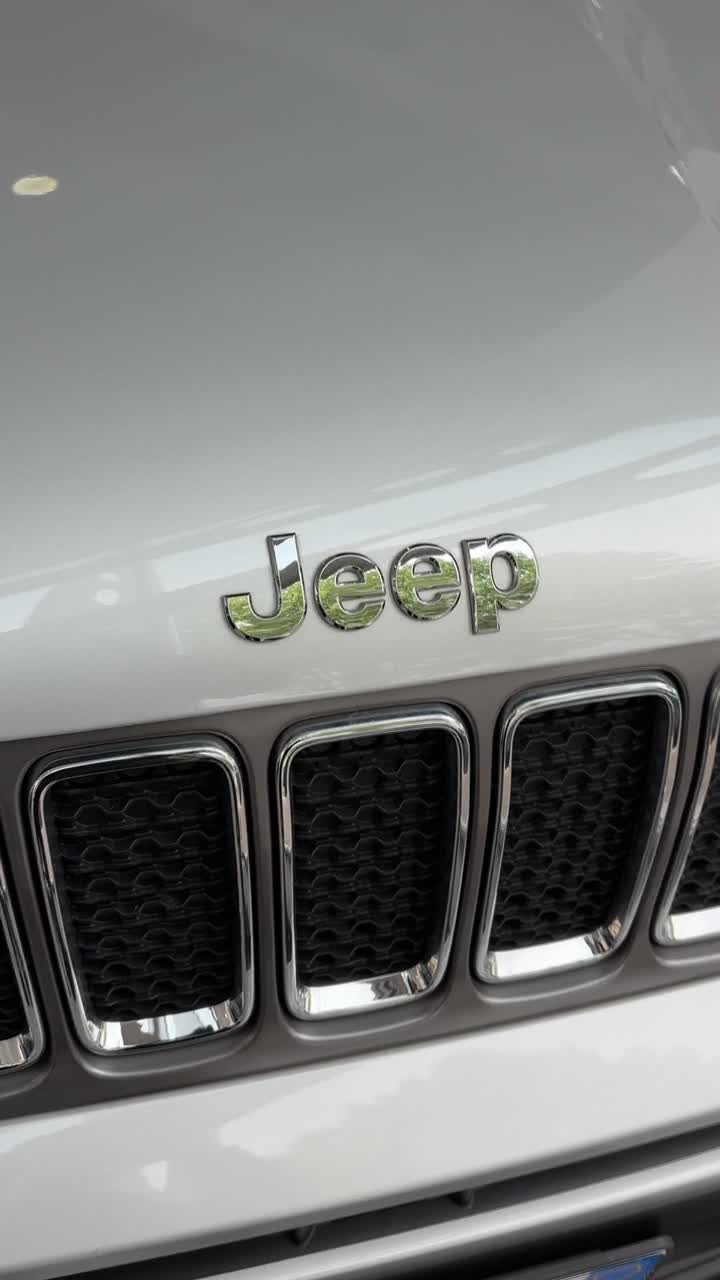 JEEP RENEGADE Limited